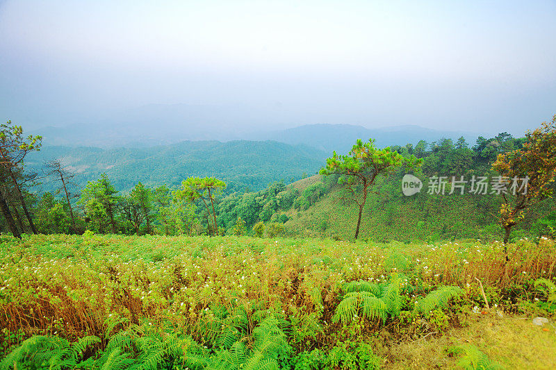 从Doi孟Angkhet到清迈省开阔土地的晨景