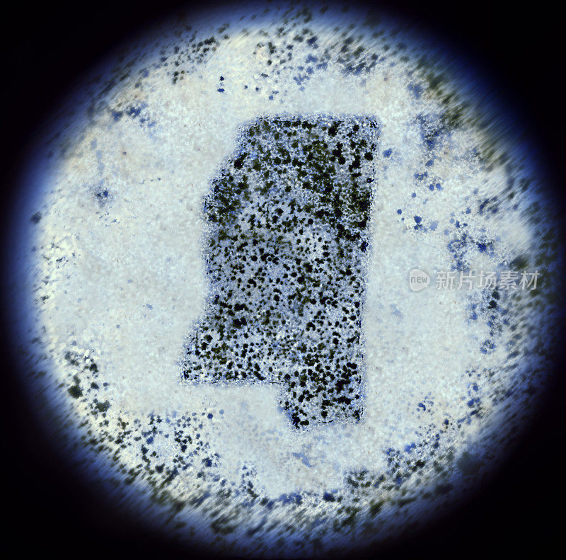 通过显微镜观察密西西比形状的细菌。(系列)