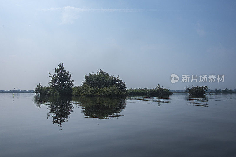 岛在Weerribben-Wieden湿地自然保护区