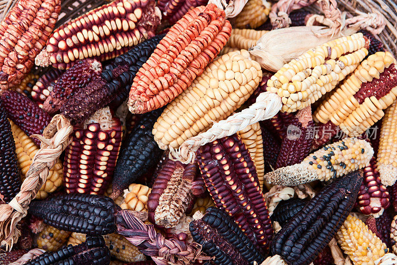 秘鲁Pisac市场出售的玉米
