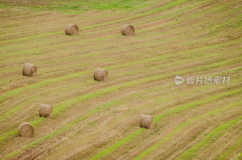 圆的干草捆