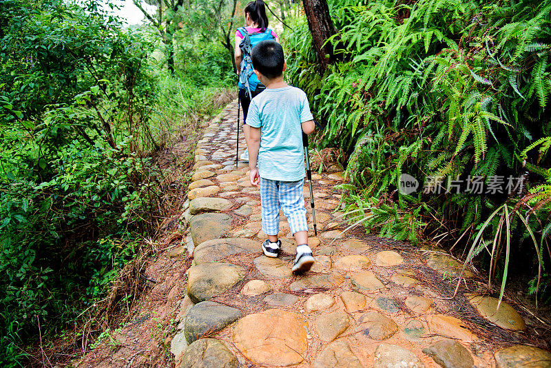 母子在森林里徒步旅行