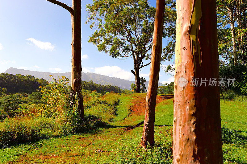 考艾岛的风景