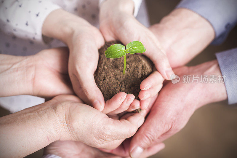 亲情:手握植物