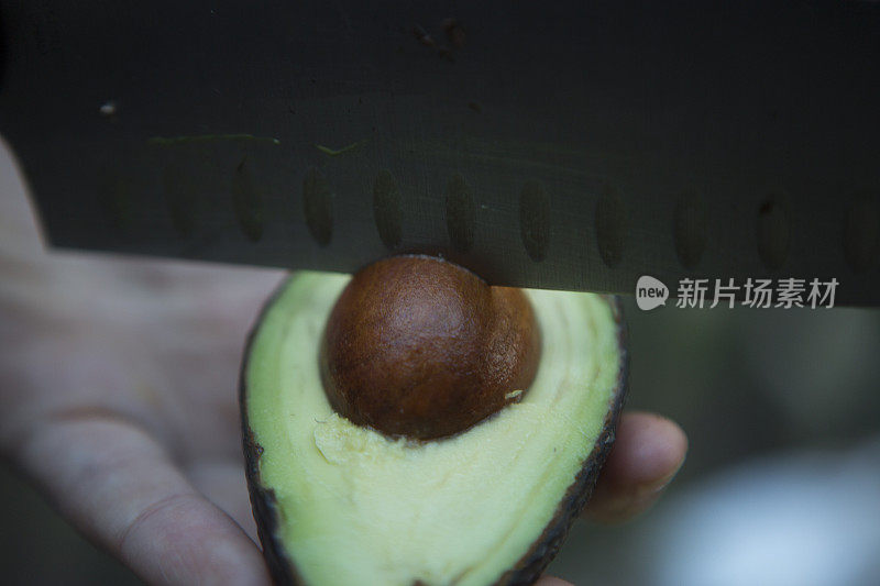 Avocodo种子