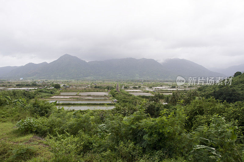 芽庄附近的景观