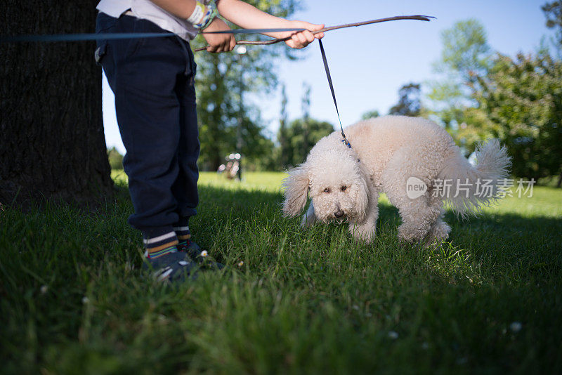 孩子和狗玩耍