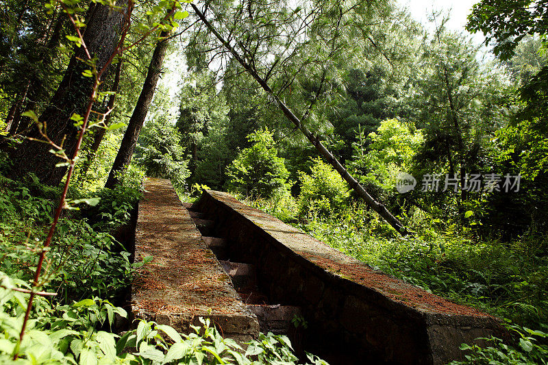 巴基斯坦穆里山的绿山水道