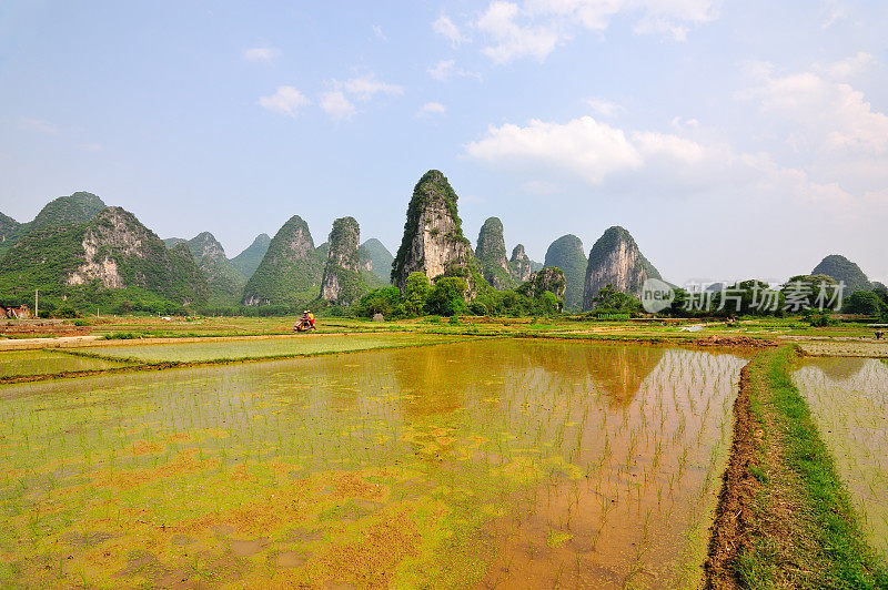 喀斯特地区的稻田