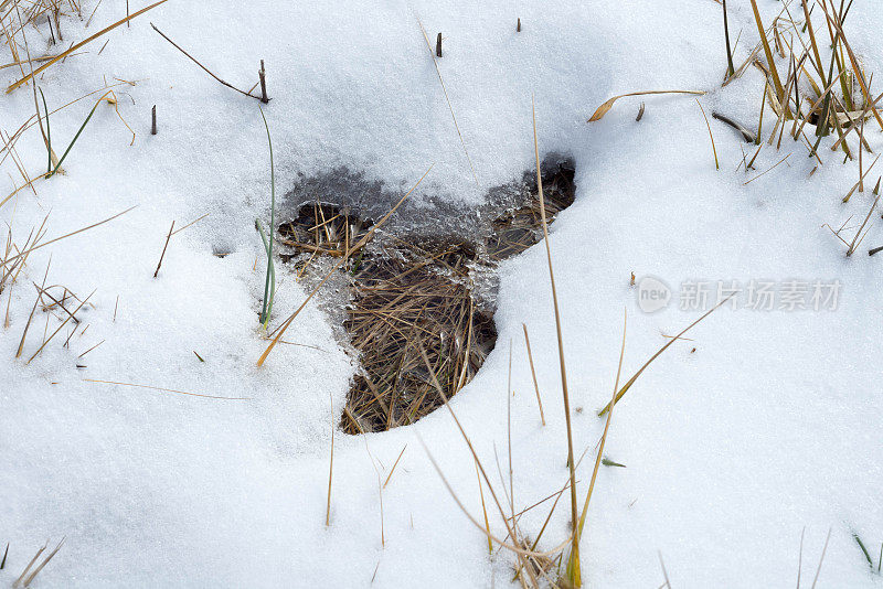 融化的雪