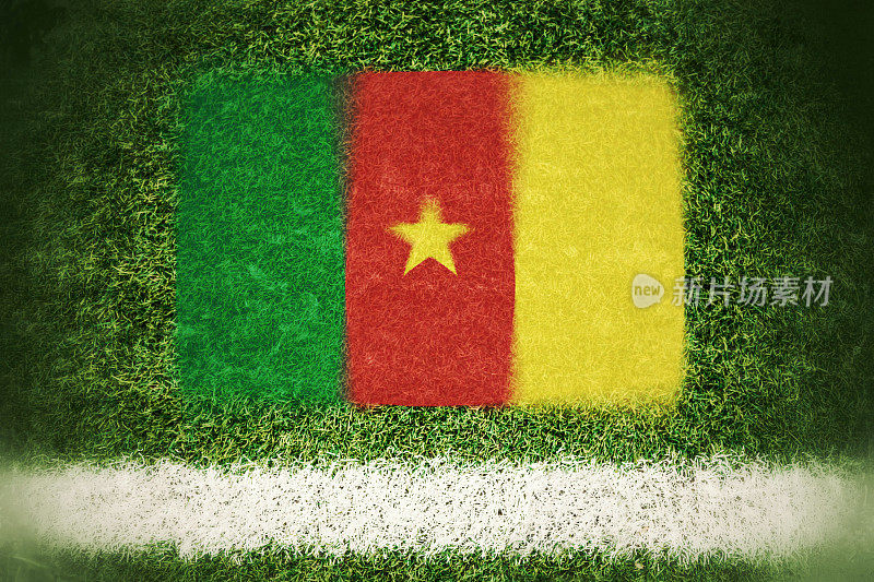 足球场上印着喀麦隆国旗