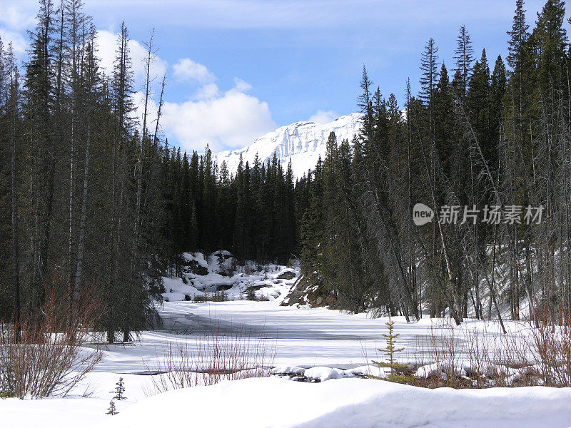 白雪皑皑的山谷