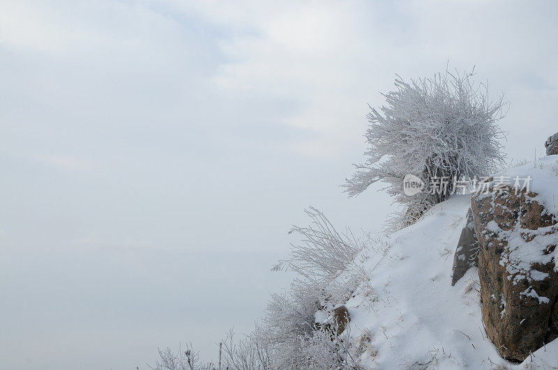 泰山在雪中