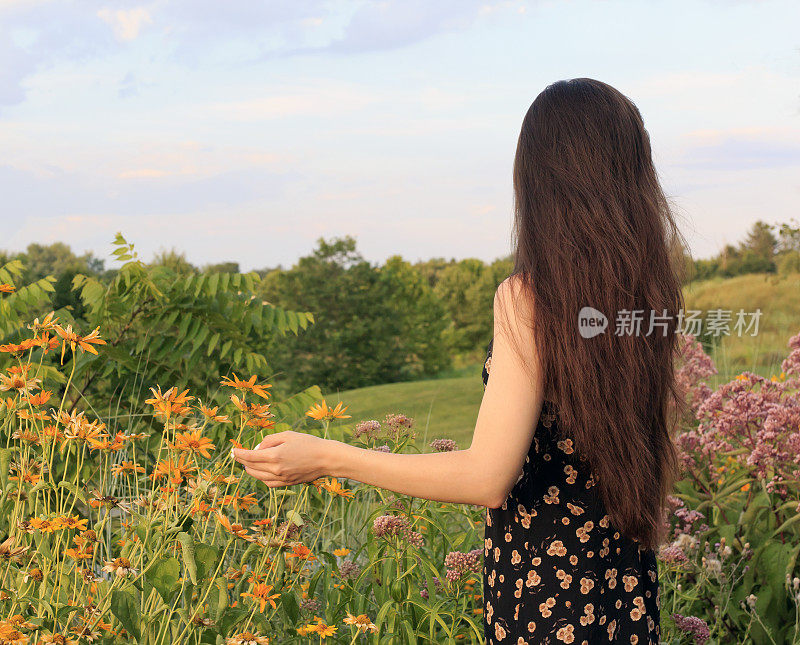 年轻的女孩在花的田野面朝别处