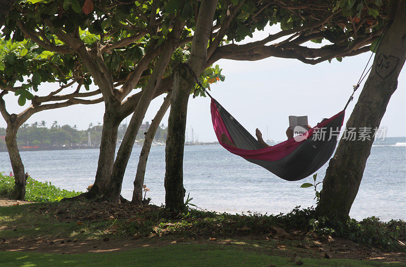 夏威夷海滩上的吊床