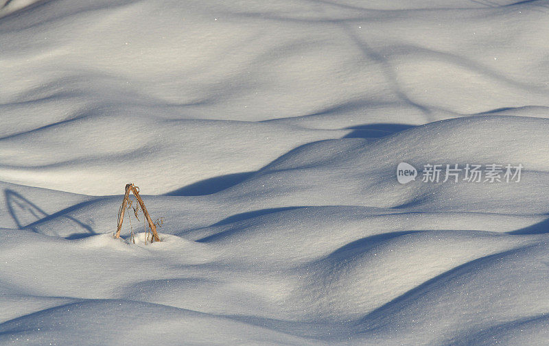 雪的表面