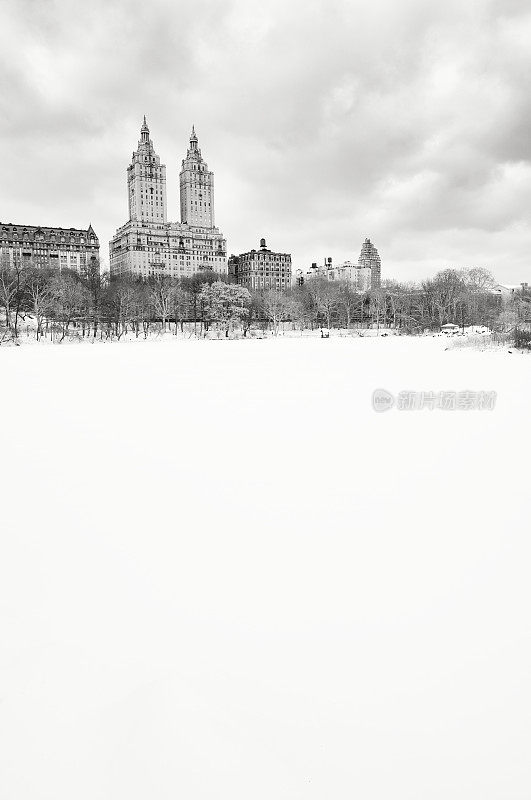 纽约市中央公园冬天的雪景