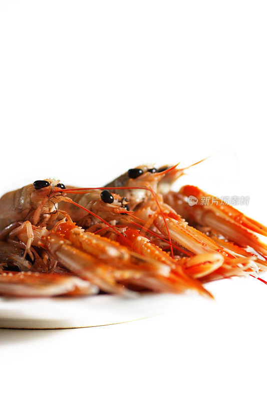 新鲜的海螯虾或虾