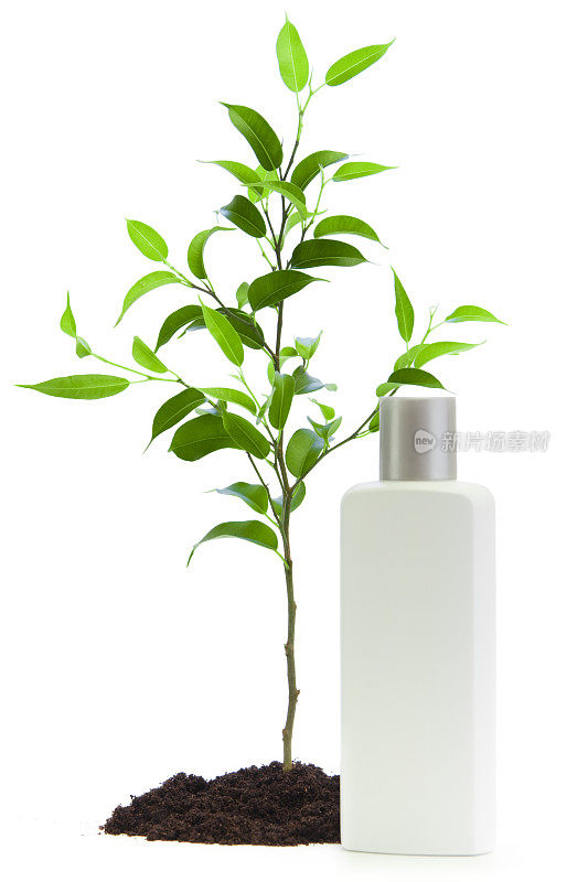 小树和普通产品瓶