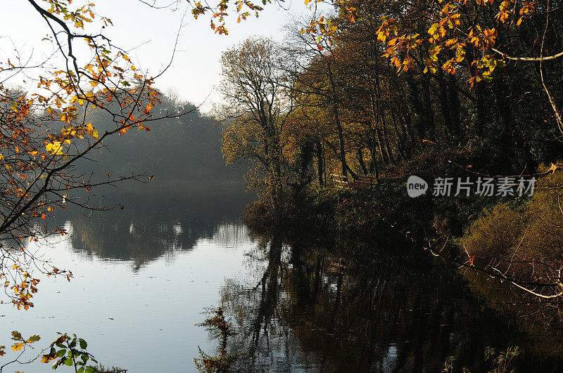 泽景观,英国