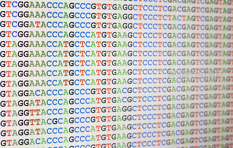 排列的DNA序列显示在LCD屏幕上