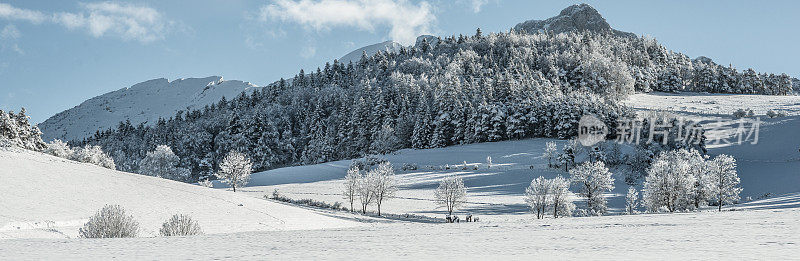 冬季景观与雪和树