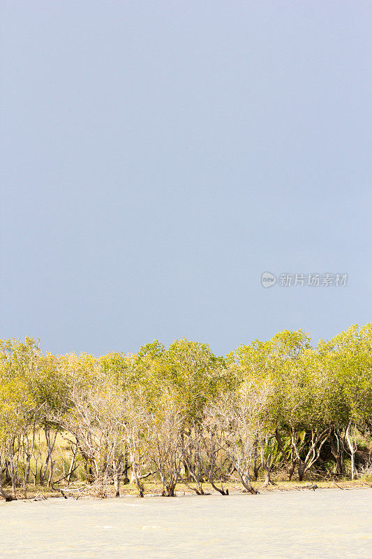 南非夸祖鲁-纳塔尔省的iSimangaliso湿地公园