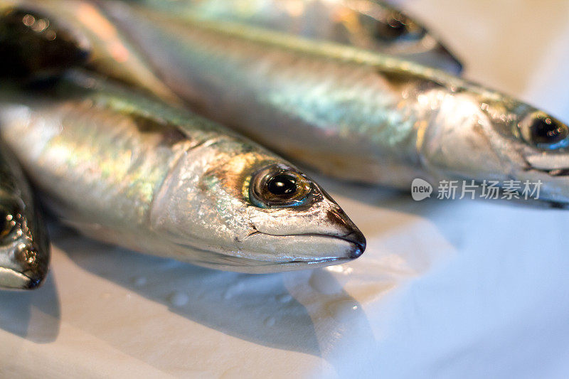 市场新鲜生地中海凤尾鱼(特写)