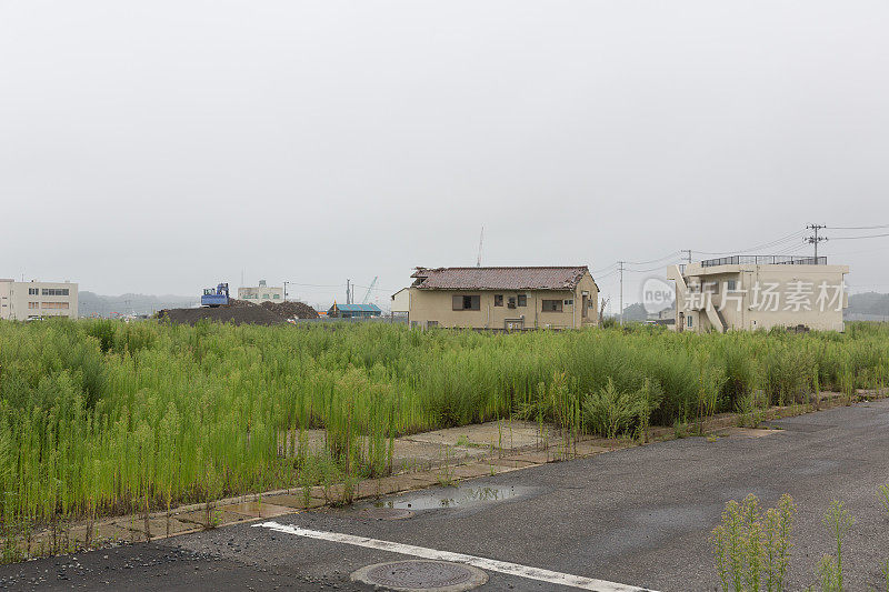 地震和海啸毁坏了房屋