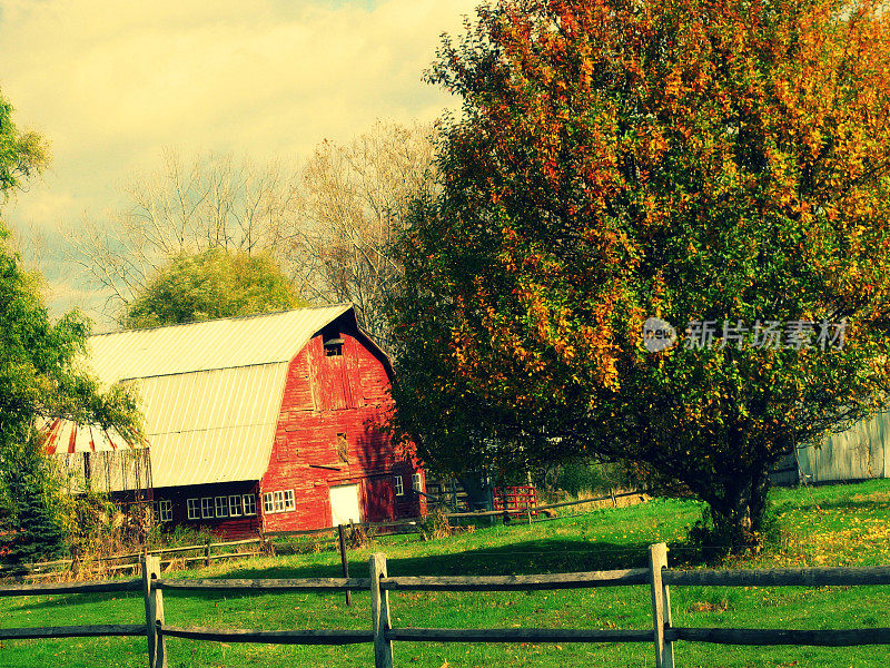红色的新英格兰谷仓，栅栏和树在秋天