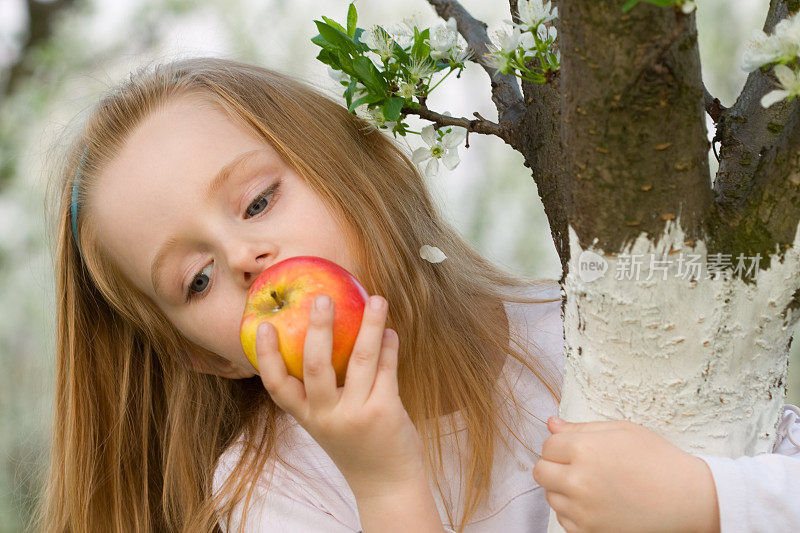 小女孩在水果园里吃苹果