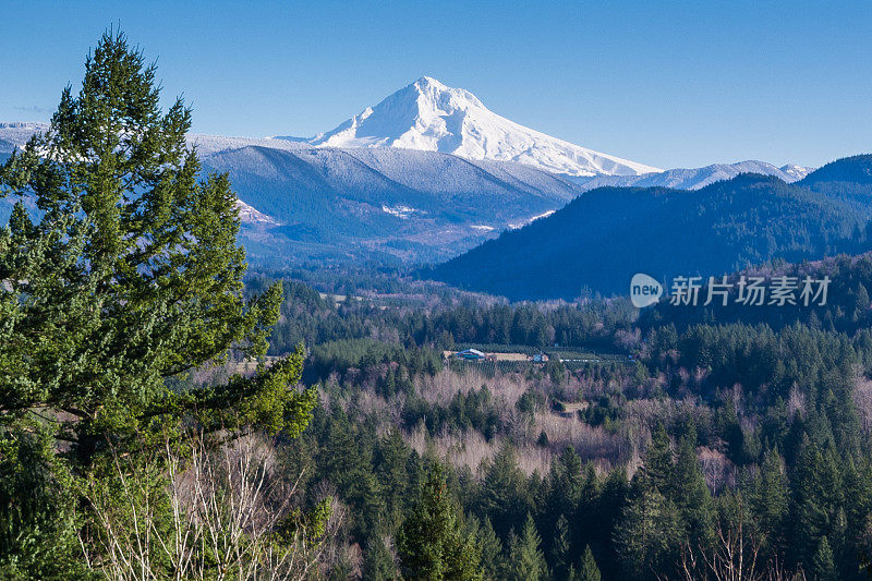 俄勒冈州的胡德山早晨有新雪