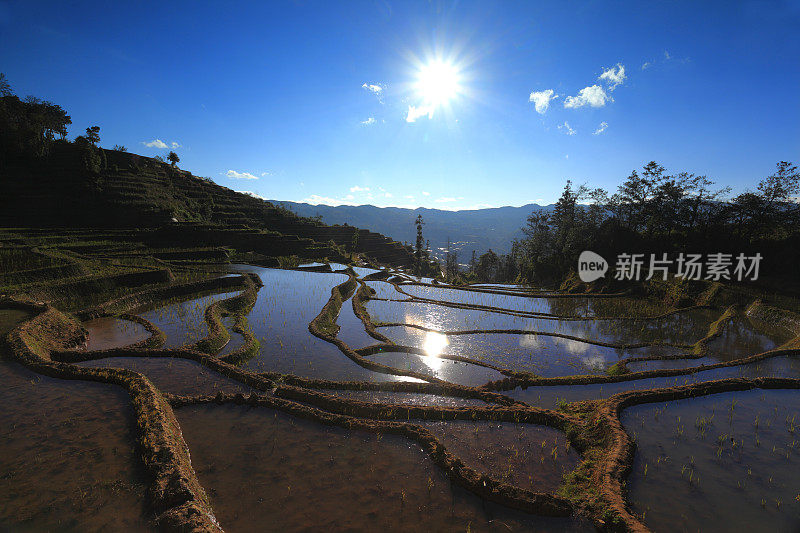 元阳梯田