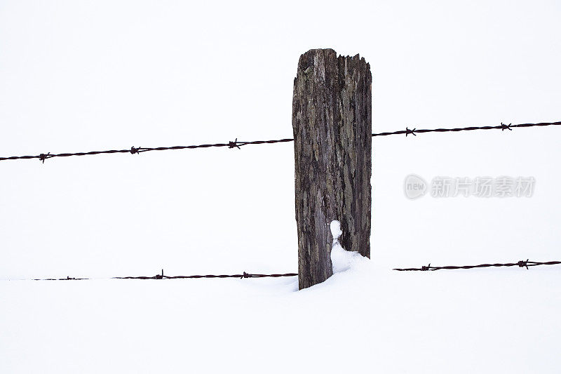 篱笆桩在雪地里