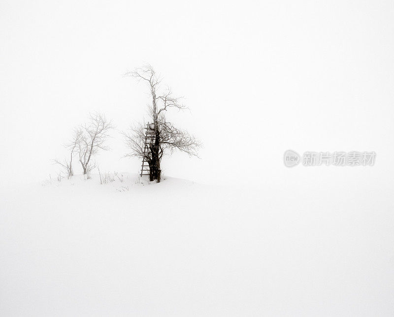 冬天的风景