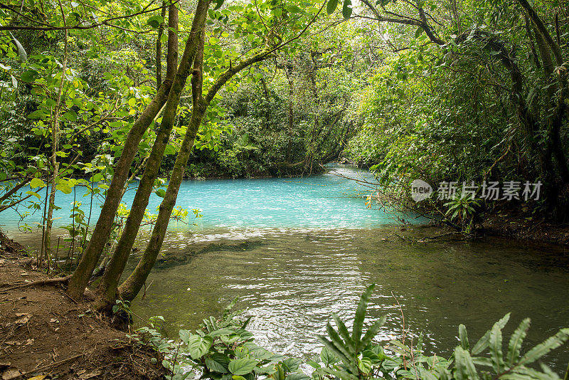 在哥斯达黎加的森林里，河流在树林中流动