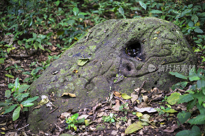 尼加拉瓜尼加拉瓜湖上奥米特佩岛马德拉斯火山留下的岩石雕刻