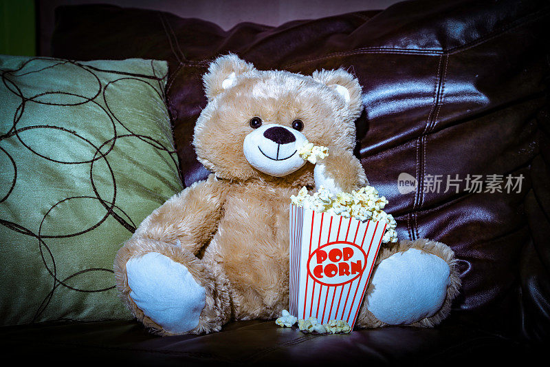 泰迪熊在看电影