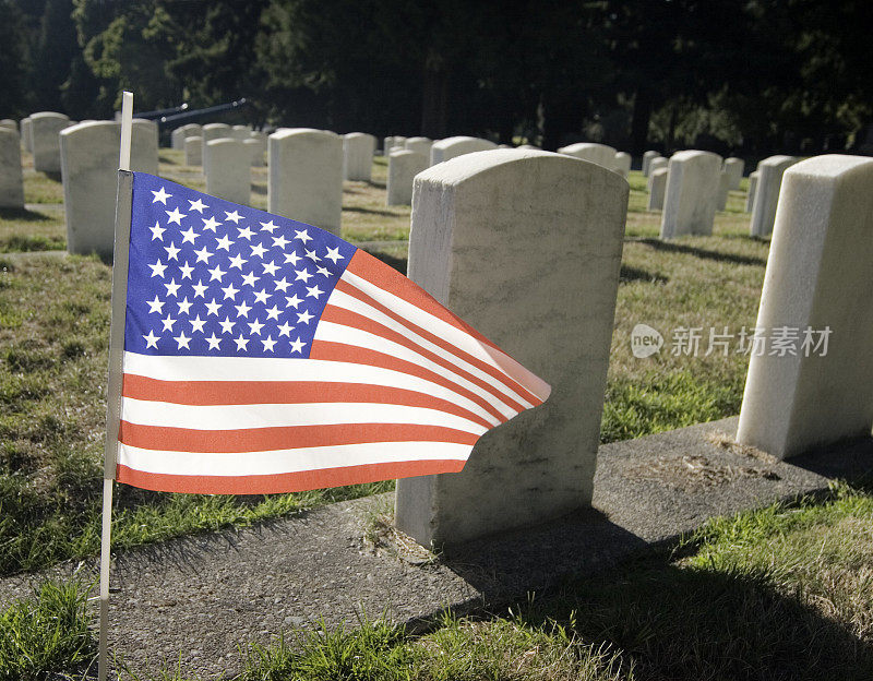 在军人公墓挥舞美国国旗