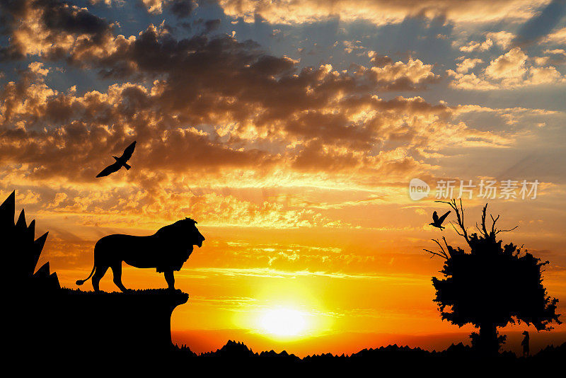 丛林与山，老树，鸟，狮子和猫鼬在金色的云日落背景