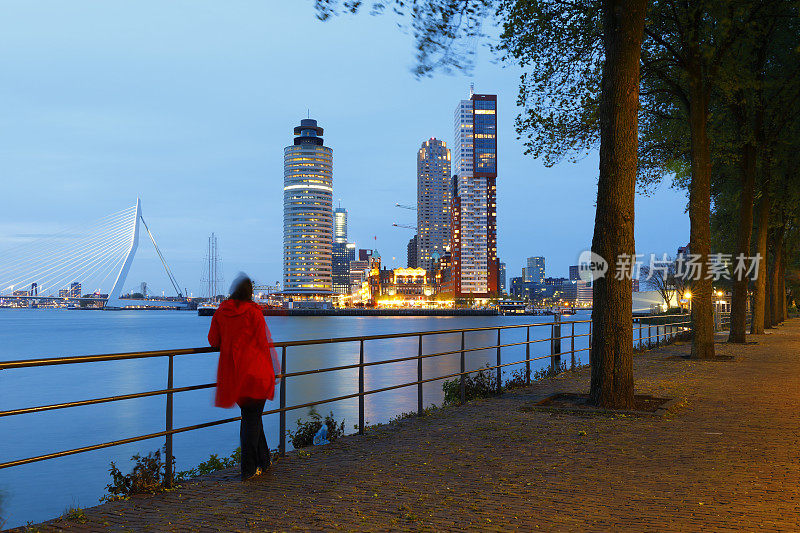 鹿特丹夜景，荷兰