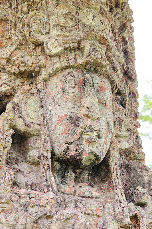 科潘，洪都拉斯:H石碑的特写，雕刻于公元730年