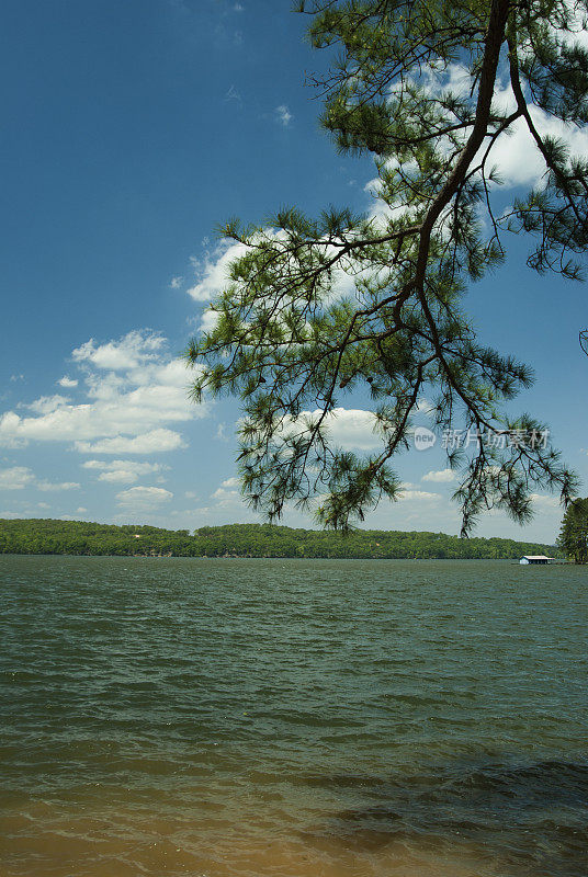 阿拉巴马州的Guntersville湖
