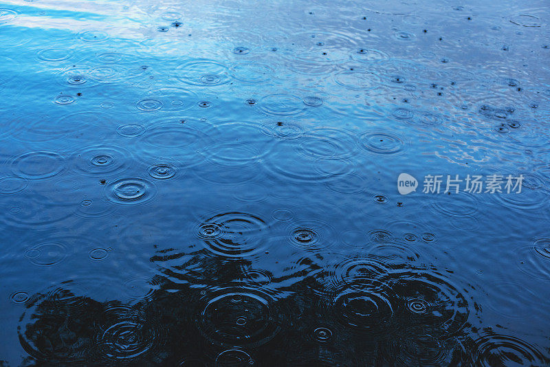 新鲜的雨