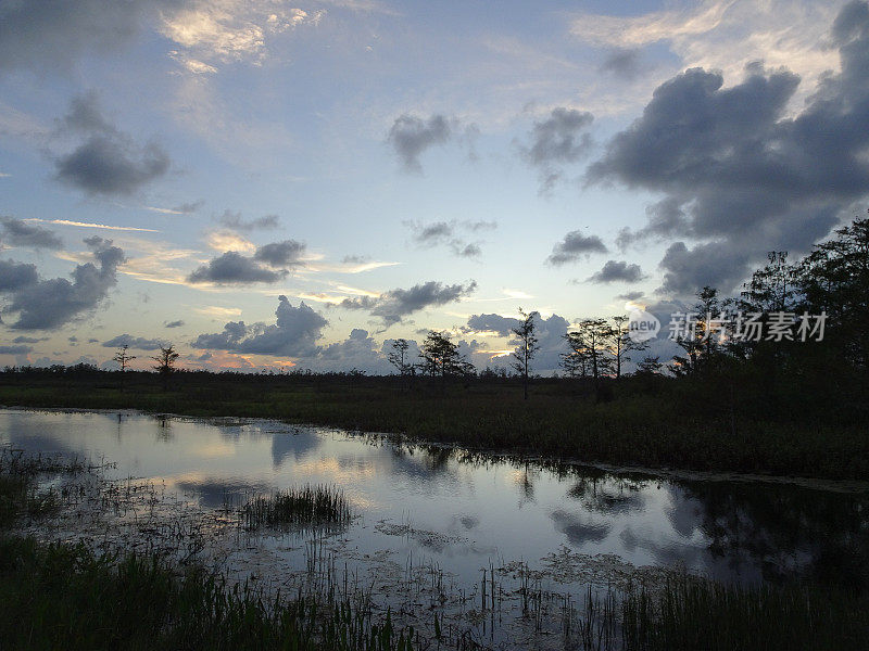 沼泽中落日的倒影