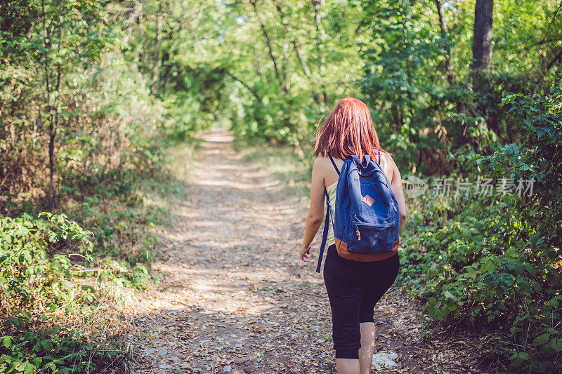 女旅行者背着背包走在森林里的小路上。