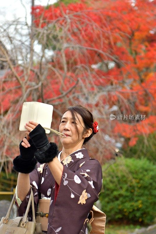 穿着和服的日本妇女在京都拍摄秋叶