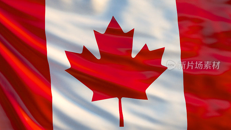 加拿大挥舞着国旗。三维演示