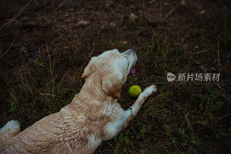 和你最好的朋友一起享受夏日