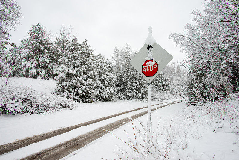 大雪过后，加拿大安大略省乡村公路上的停车标志